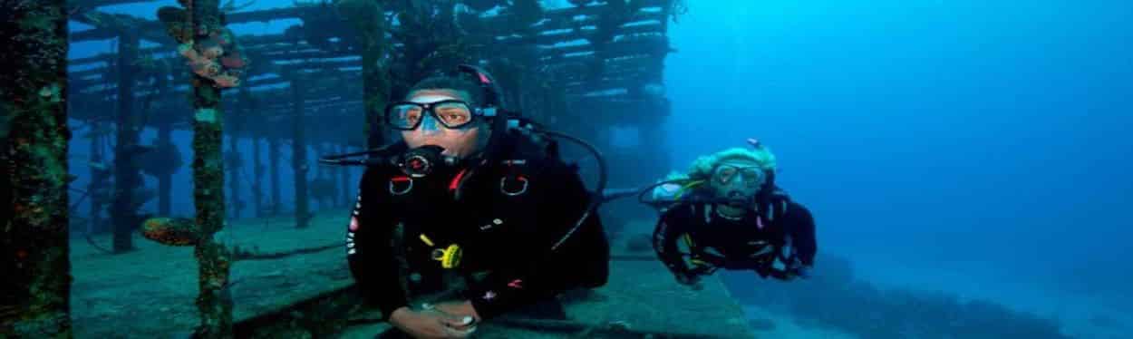 PADI courses