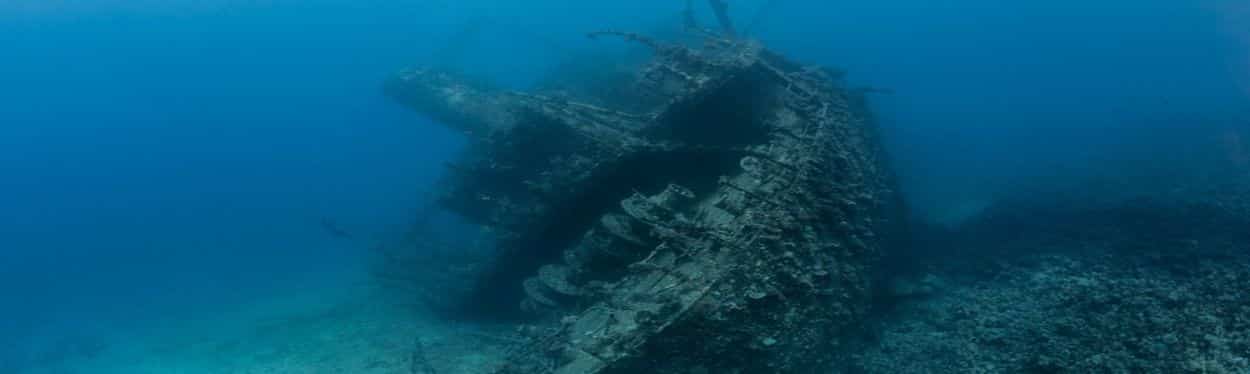 Diving Daytrips Wrecks