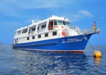 Manta Queen 1, Similan to Richelieu Rock | 4D/4N | 15 Dives