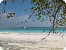 Koh Tachai Snorkeling