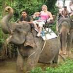 Elephant River