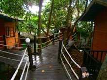 Similan islands Bungalow