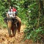 Elephant Trekking Khao Lak