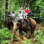 Elephant Tour