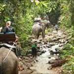 Elephant Waterfall Tour