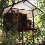 Khao Sok Tree House