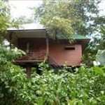 Khao Sok Tree House