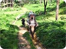 Khao Lak Tours y excursiones