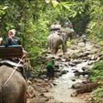 Khao Lak Jungle Trekking
