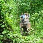 Lam ru national park