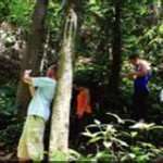 Khao Lak Lam ru national park