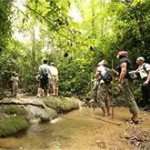 elephant Trekking