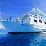 snorkeling liveaboard