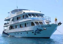 MV Bavaria Liveaboard | 3, 4 or 7 Days Liveaboard