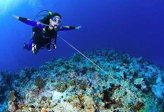 Diver with Reef Hook
