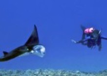 Diving in Currents