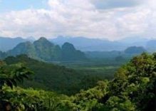 Khao Sok National Park Guide