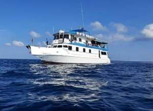 Similan scuba diving daytrips