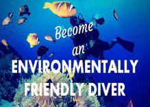 How to be an Eco diver?