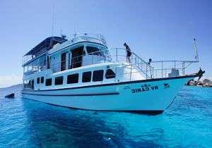 Manta Queen 3, Similan, Koh Bon, Koh Tachai, Richelieu Rock | 4D/4N | 15 Buceos