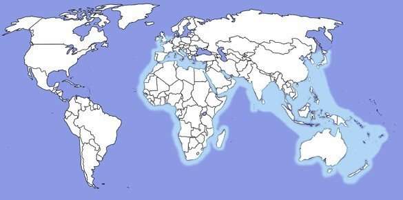 cuttlefish distribution map