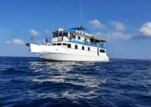 2D/1N or 3D/2N or longer | Flexible Liveaboard