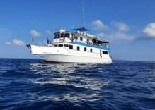 2T/1N ODER  3T/2N | FLEXIBEL LIVEABOARD