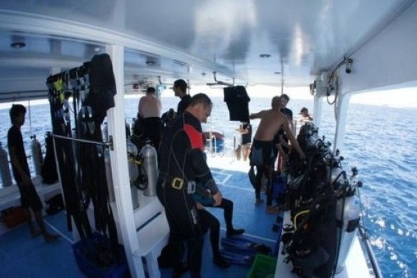 dive-deck-660×348