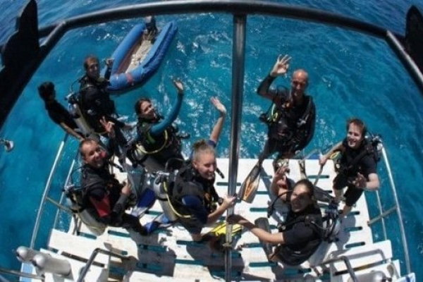 dive-platform-660×348