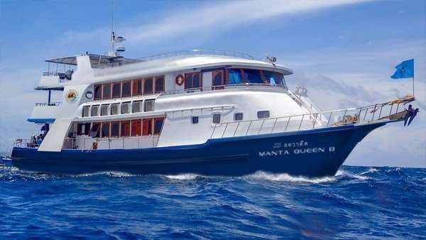 manta queen 8