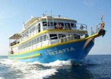 MV OKTAVIA SIMILAN NACH RICHELIEU ROCK | 5T/5N | 19 TAUCHGÄNGE