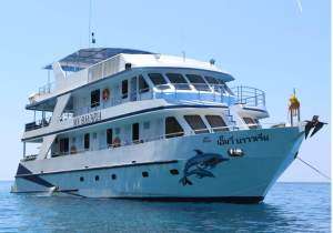 Dolphin Queen | 3 Days Similan & Richelieu or 5 Days Similan & Richelieu