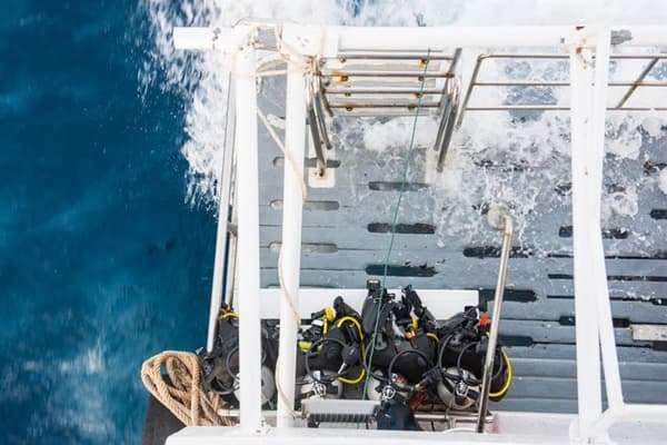 camic-similan-liveaboard-7
